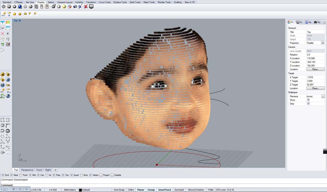 sliced light color  12